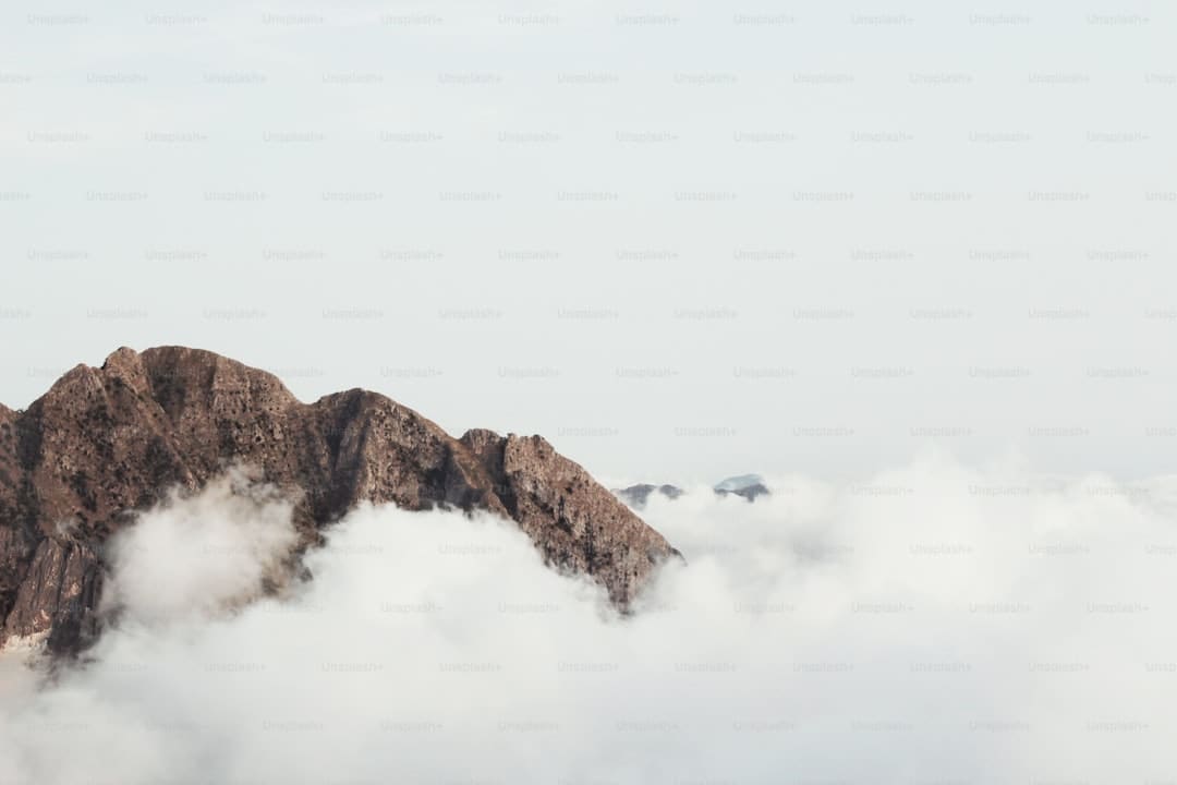 桑葚是碱性还是酸性